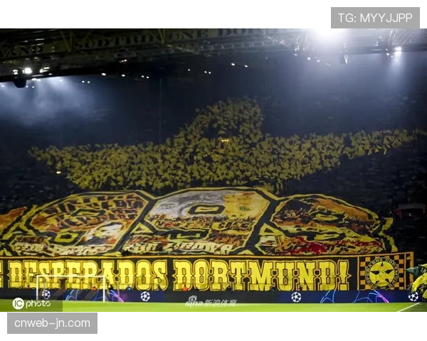 多特蒙德南看台因每平方米容纳人数超标面临改造